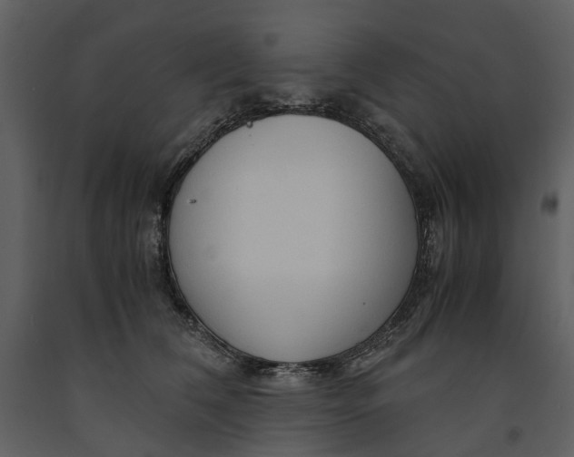 X0000090960612200708241154