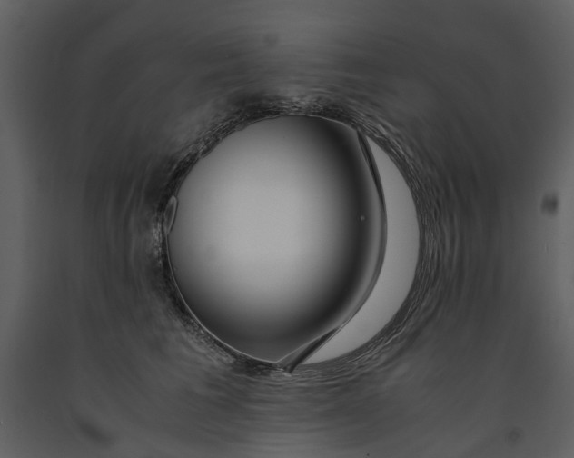 X0000090960613200708241154