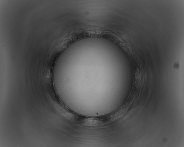 X0000090960614200708241154