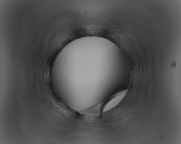 X0000090960615200708241154