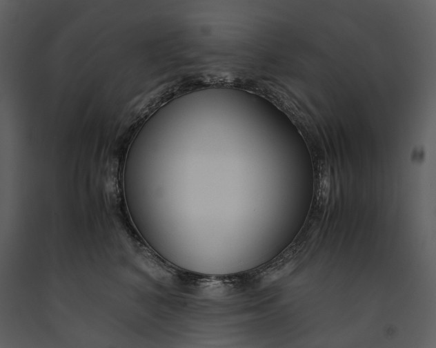 X0000090960616200708241154