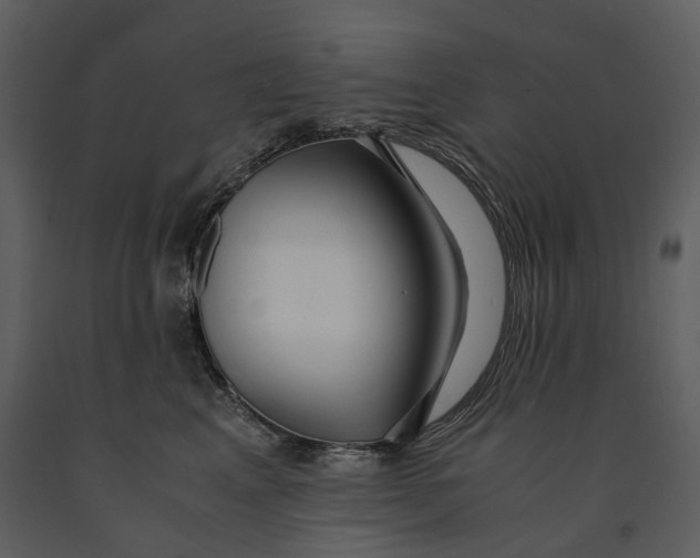 X0000090960617200708241154