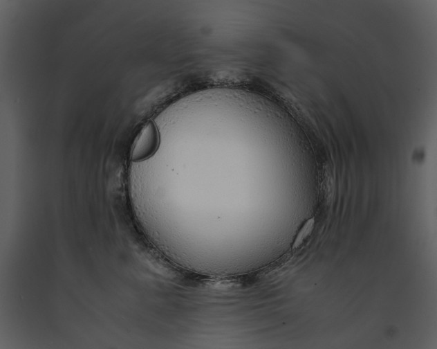 X0000090960619200708241154