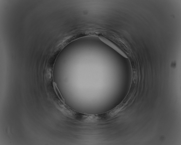 X0000090960621200708241154