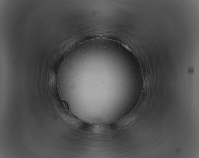 X0000090960623200708241154