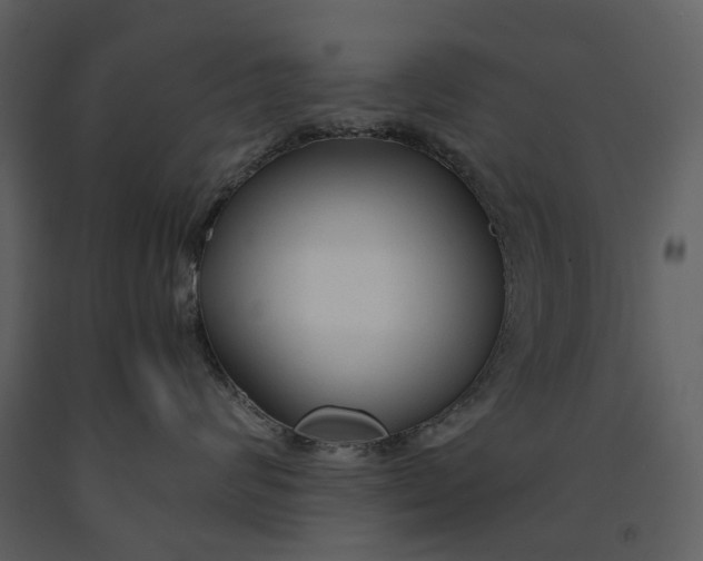 X0000090960624200708241154