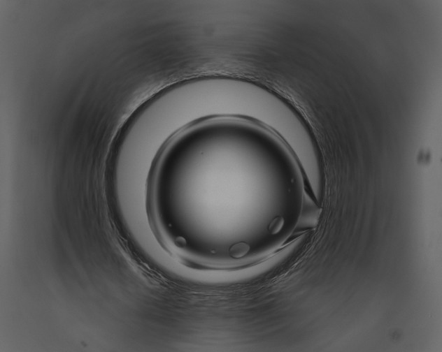 X0000090960626200708241153