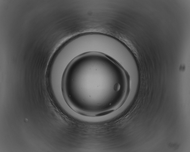 X0000090960628200708241153