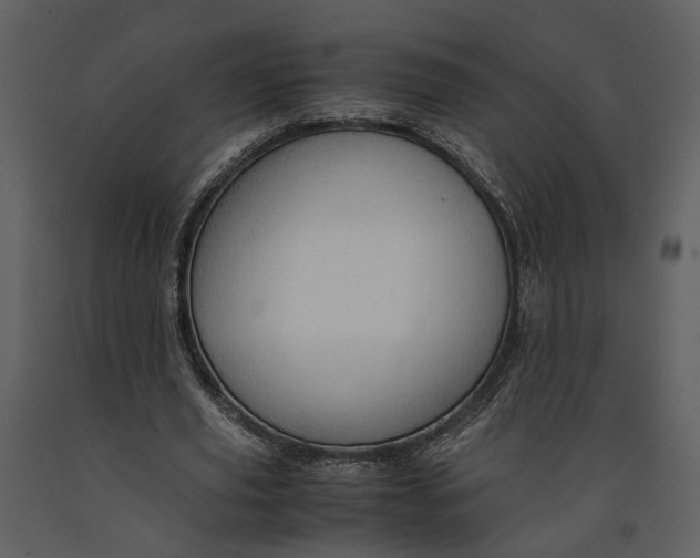 X0000090960629200708241153