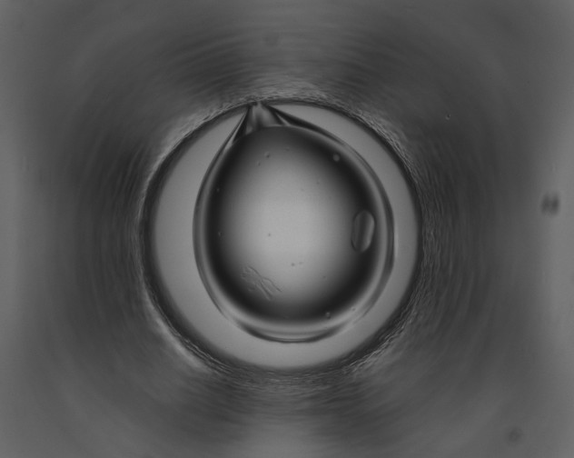 X0000090960630200708241153