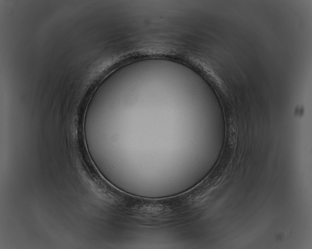 X0000090960631200708241153