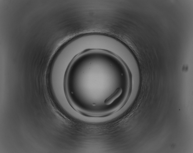 X0000090960632200708241153