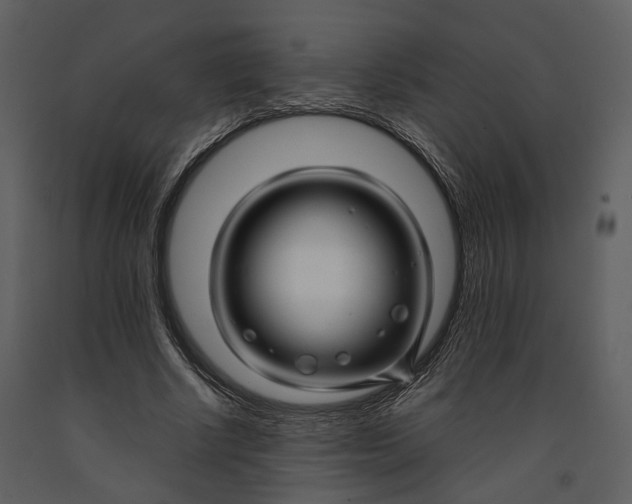 X0000090960634200708241153