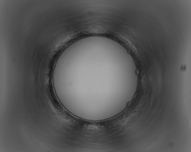 X0000090960635200708241153