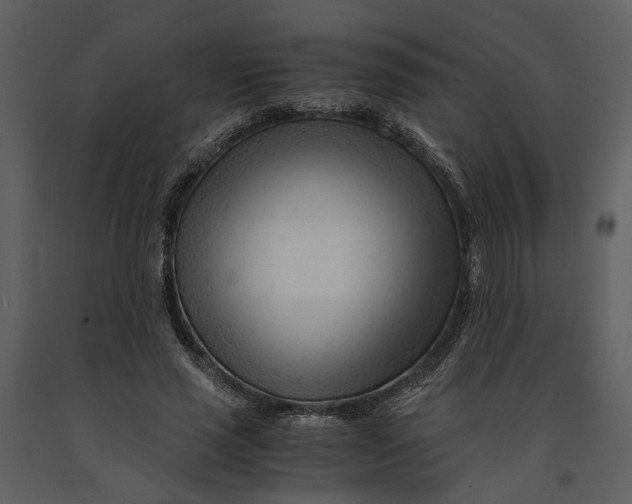 X0000090960637200708241153