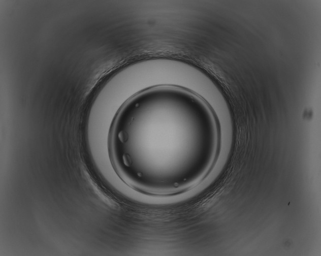 X0000090960638200708241153