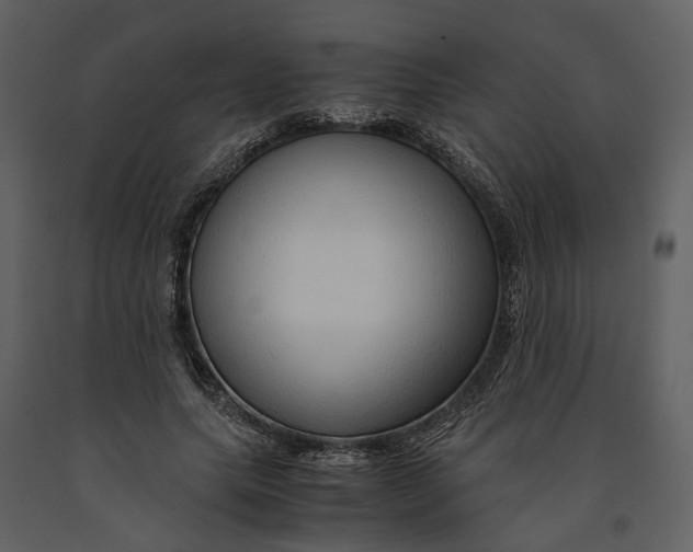 X0000090960639200708241153