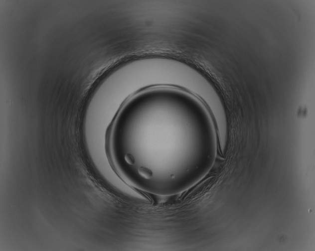 X0000090960640200708241153