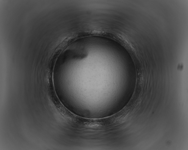 X0000090960643200708241154