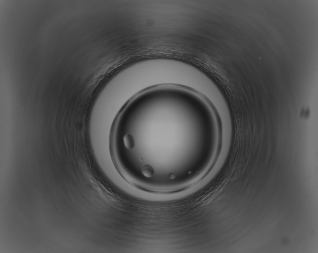 X0000090960644200708241154