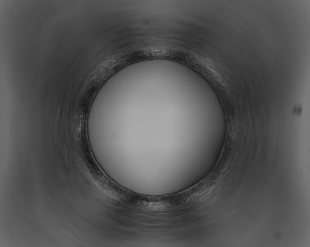 X0000090960645200708241154