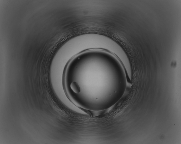 X0000090960646200708241154