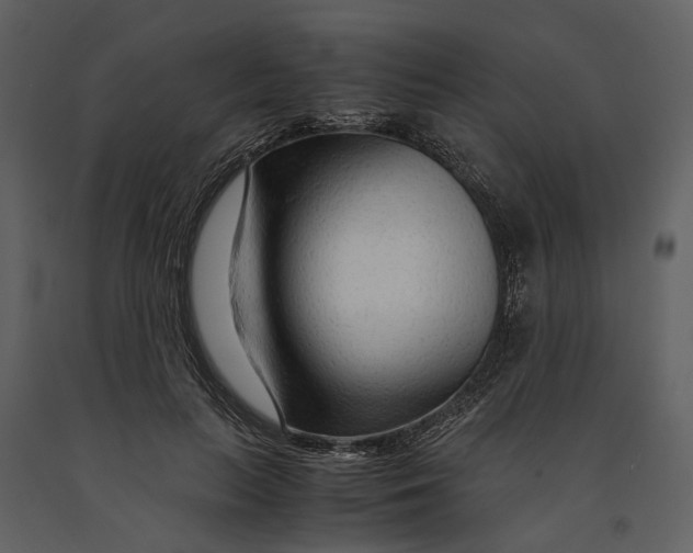 X0000090960647200708241154