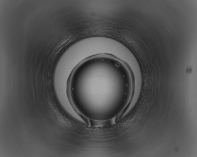 X0000090960648200708241154