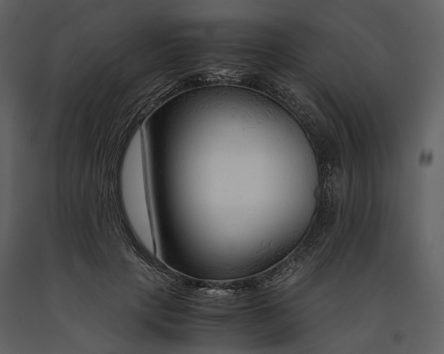 X0000090960649200708241154