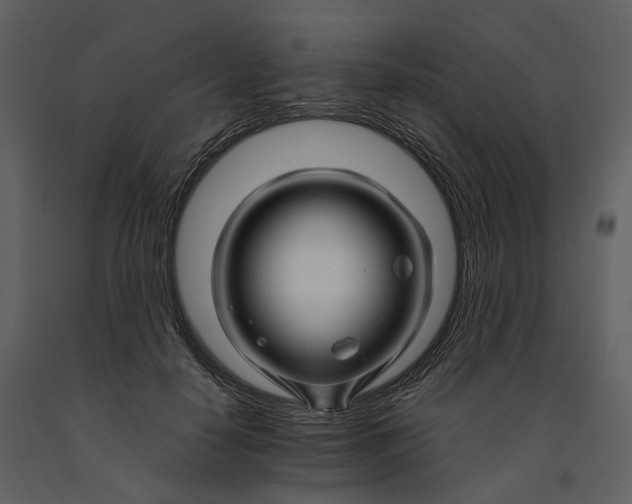 X0000090960650200708241154