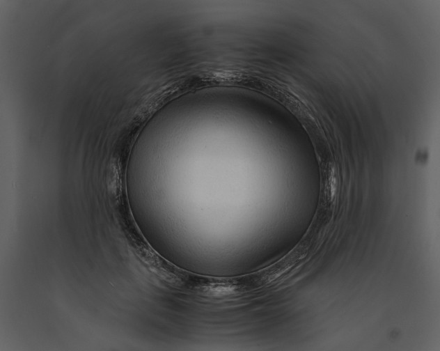 X0000090960651200708241154