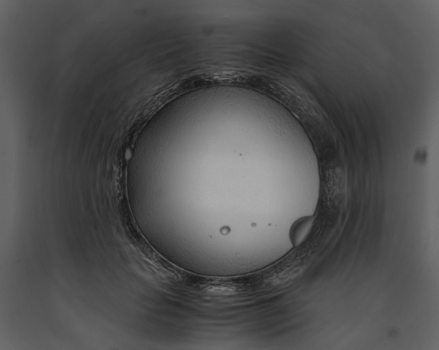 X0000090960653200708241154