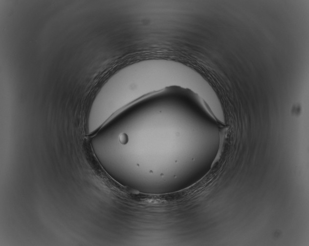 X0000090960654200708241154