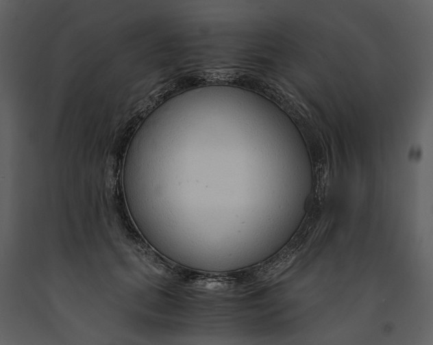 X0000090960655200708241154