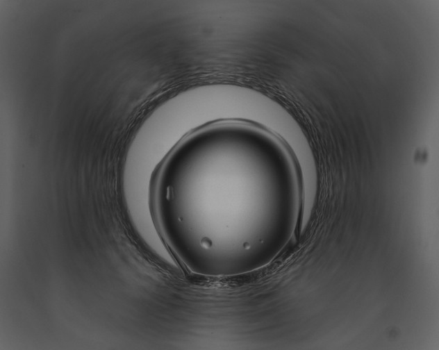 X0000090960656200708241154