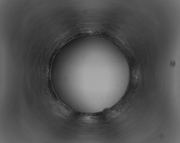 X0000090960657200708241154