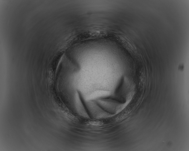 X0000090960659200708241154