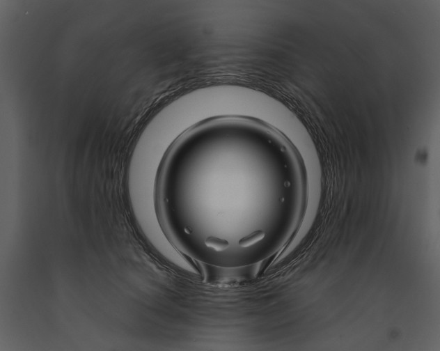 X0000090960660200708241154