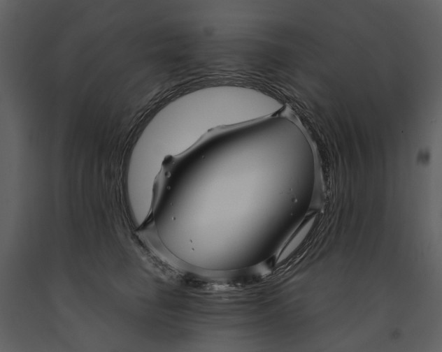 X0000090960662200708241154