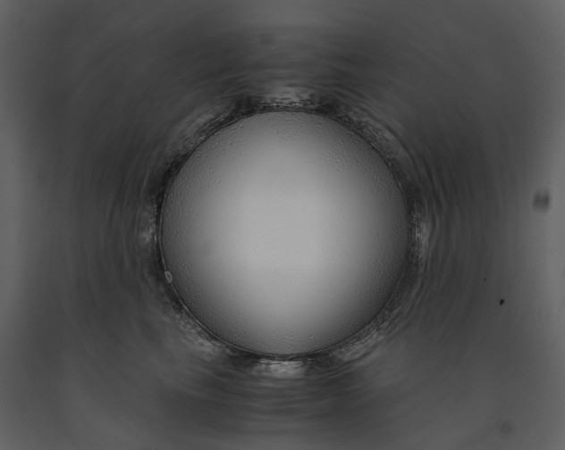 X0000090960665200708241154