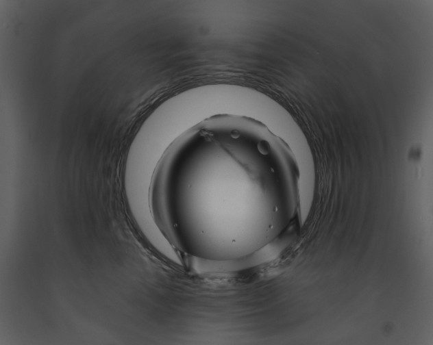 X0000090960666200708241154