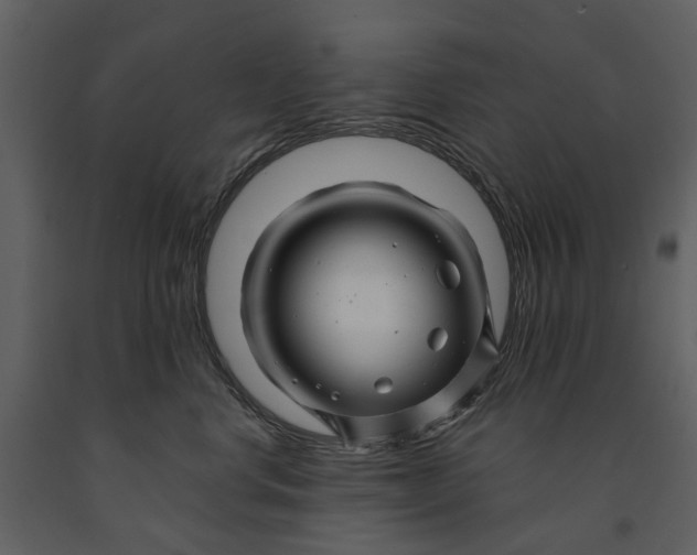 X0000090960668200708241154