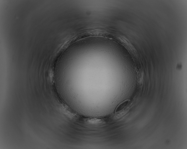 X0000090960669200708241154