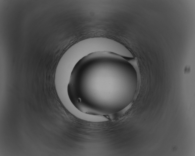 X0000090960672200708241154