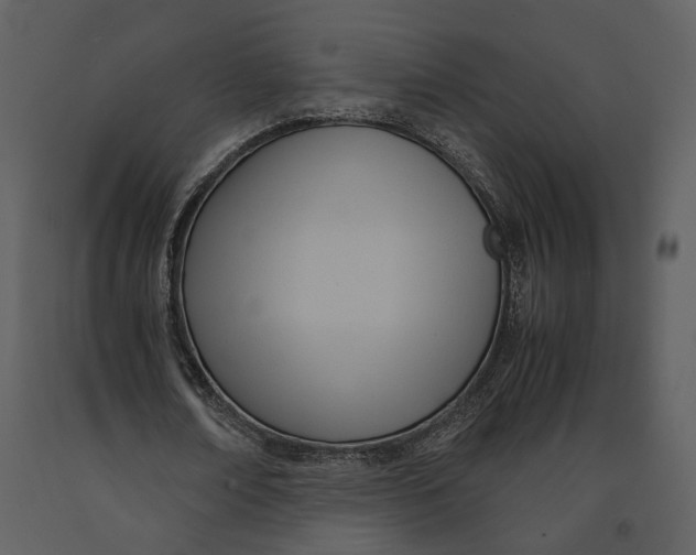 X0000090960674200708241153