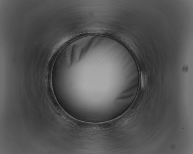 X0000090960675200708241153