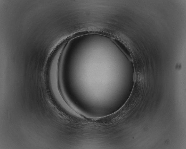 X0000090960676200708241153