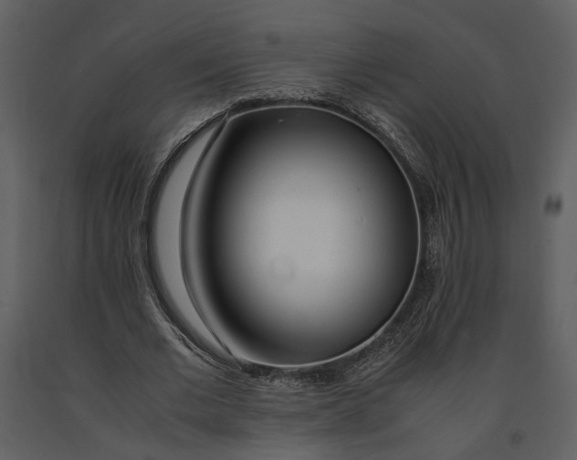 X0000090960677200708241153