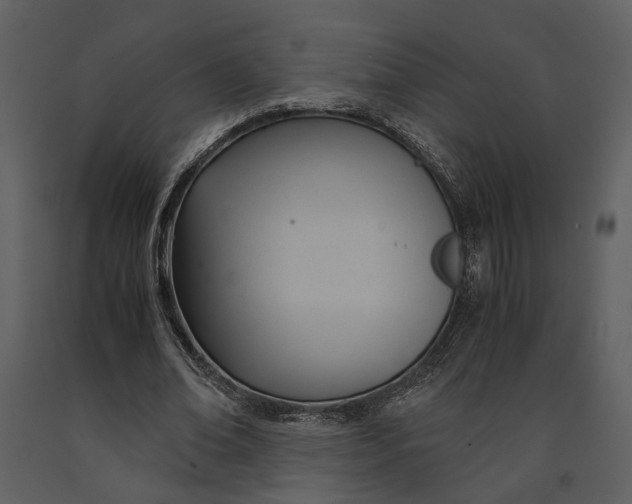 X0000090960678200708241153