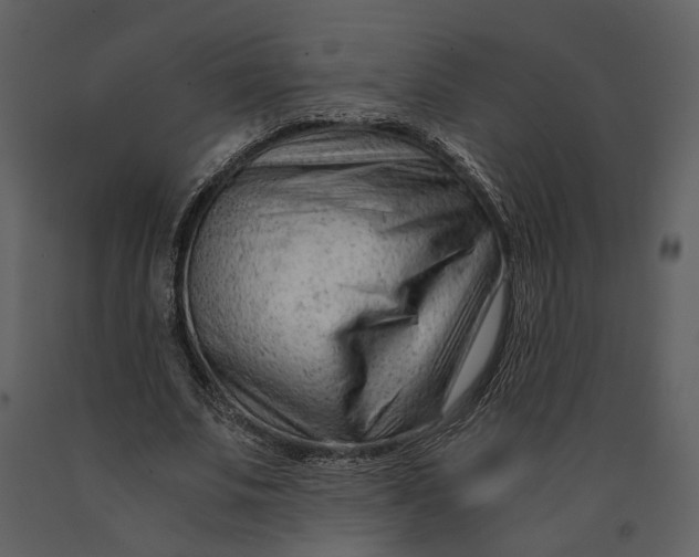 X0000090960679200708241153